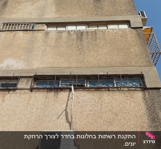 רשתות מתכת על חלונות למניעת כניסת יונים